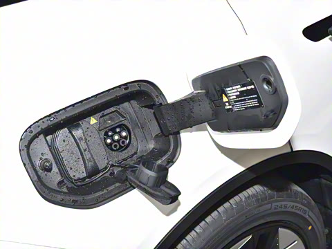 2025�� ���羫Ӣ��