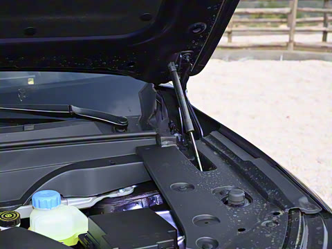 2025�� 210Ultra���̰� 5��