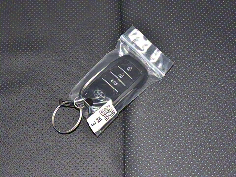 2024�� ˫�� 2.5L XLE����