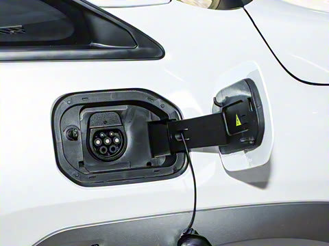 2024�� Younger ��ҫ��