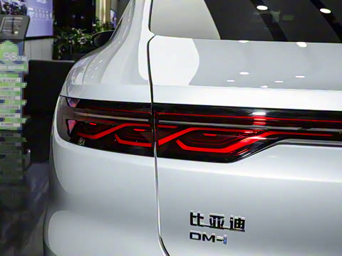 2024�� DM-i ��ҫ�� 121KM �����