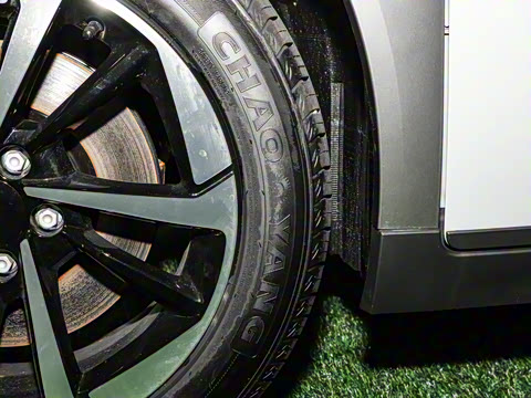 2024�� Younger ��ҫ��