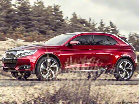 DS(����) DS Wild Rubis