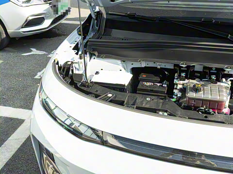 2025�� 600������