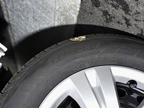 2025�� 110km���� ������7��