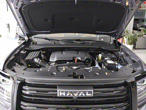 2025�� 2.0T�Զ�������Ӣ�� ����