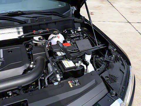 2025�� 2.0T ���������������������