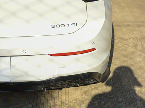 2025�� 300TSI R-Line