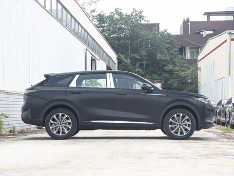 2025�� ̽����