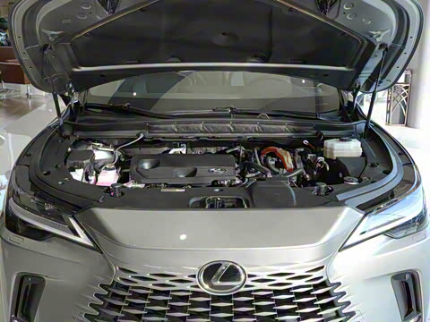 2025�� 350h ����������