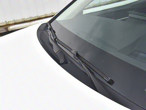 2024�� ˫�� 2.5HG ����