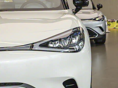 2026�� �鶯������