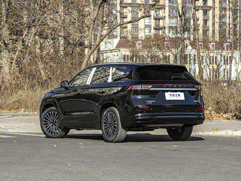 2025�� 1.5T 106KM������ 5�� �������