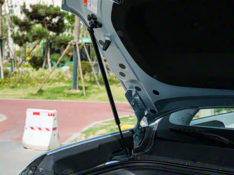 2025�� 501KM ����Max��