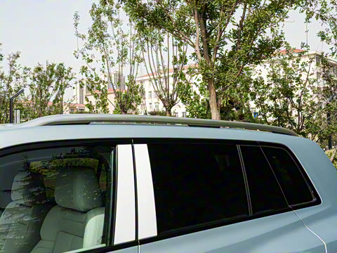 2025�� 501KM ����Max��