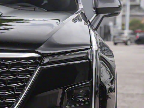 2024�� 25T ����������