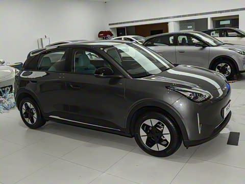 2025�� 310km �����