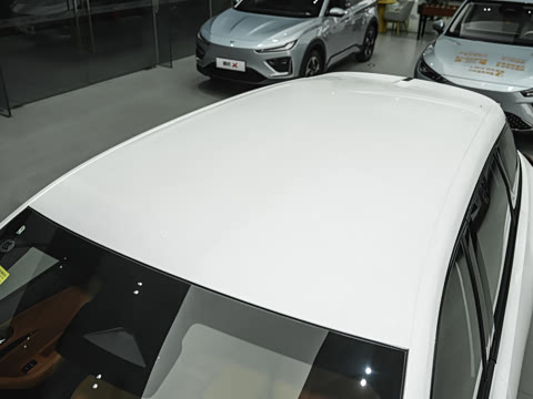 2024�� ���� 310 �����