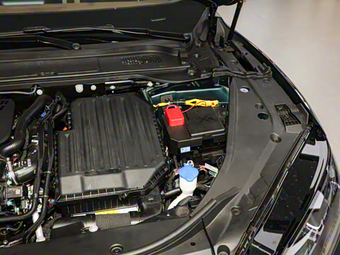 2025�� ���������۷��