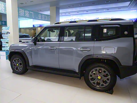 2024�� C-DM 206KM ����ɽҰ��