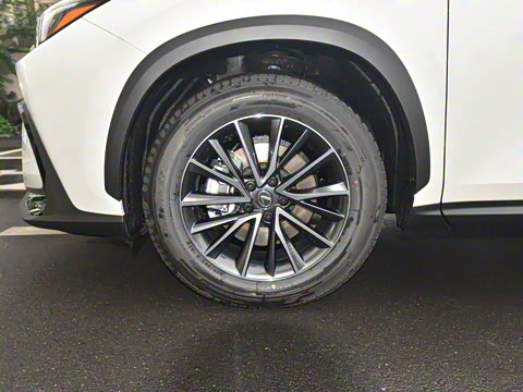 2024�� 400h+ ���ð�