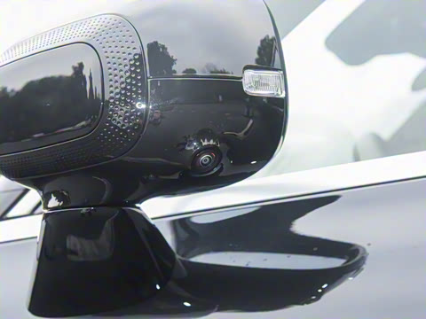 2024�� ������������ ������