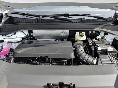 2025�� 2.0T �Զ����������� 7��