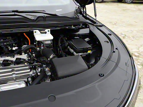 2025�� ���� ����� 230 ������