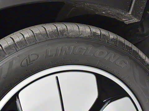 2025�� 310km �ഺ��