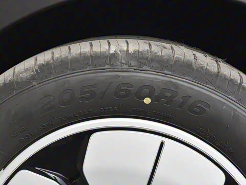 2025�� 310km �ഺ��