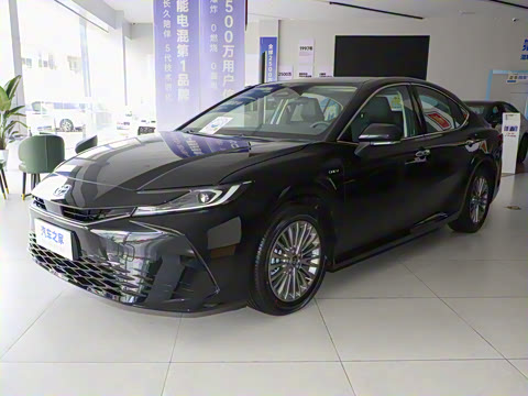 2024�� ˫�� 2.0HGVP ������