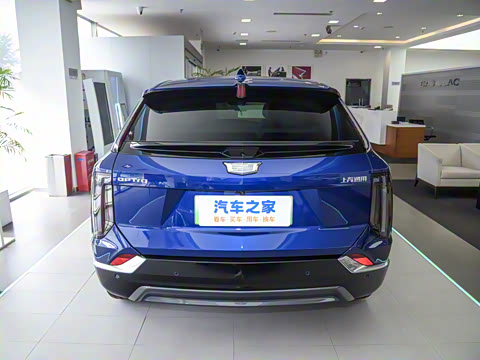 2024�� ������������