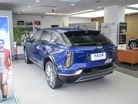 2024�� ������������