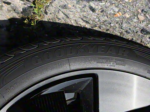 2025�� ������������ Plus