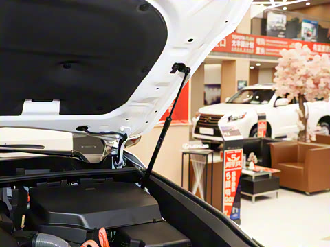 2025�� 700h ����