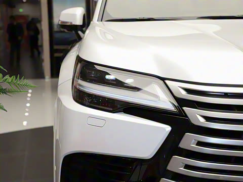 2025�� 700h ����