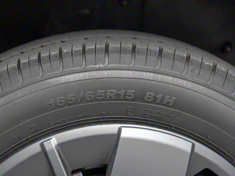 2025�� 305km ������