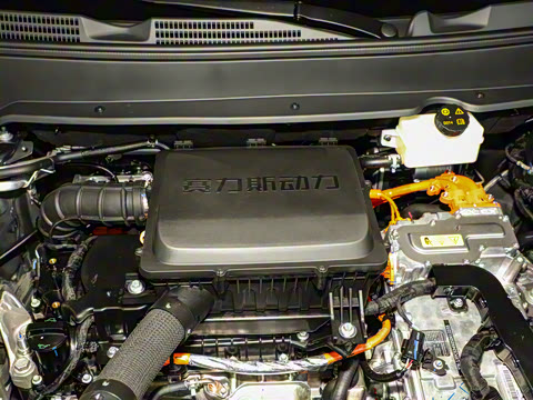 2026�� 165km ������������Max 5��