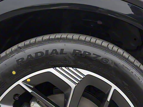 2025�� ���Ĵ� 1.5T ������ �ǻ��콢��