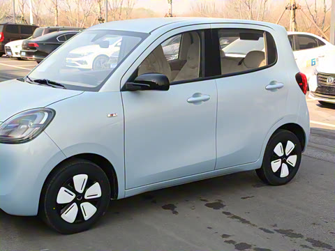 2025�� ���Ű� ������