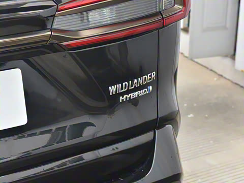 2024�� ˫�� 2.5L E-CVT��������PLUS��