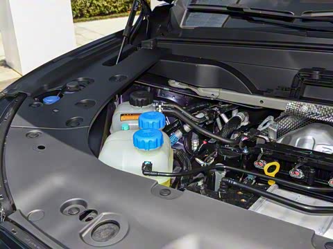 2026�� �������̼�����