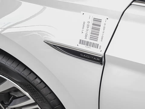 2025�� 300TSI DSG��Խ��