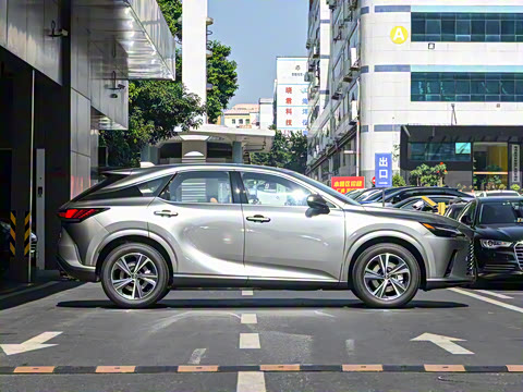 2025�� 300 ����������