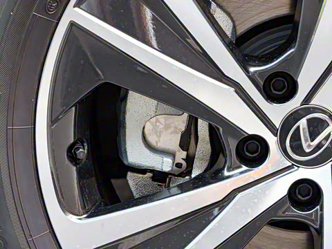 2025�� 300 ����������