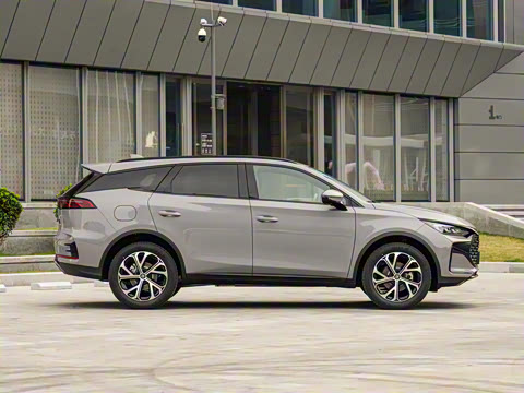 2025�� DM-i 115KM �����콢��