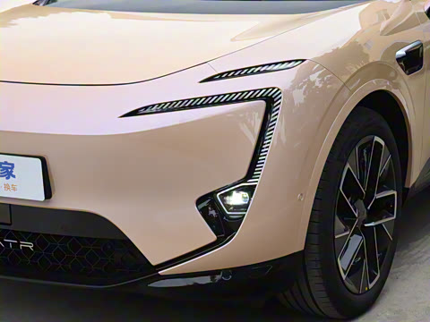 2025�� Max �����