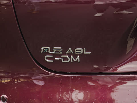 2025�� 260������������