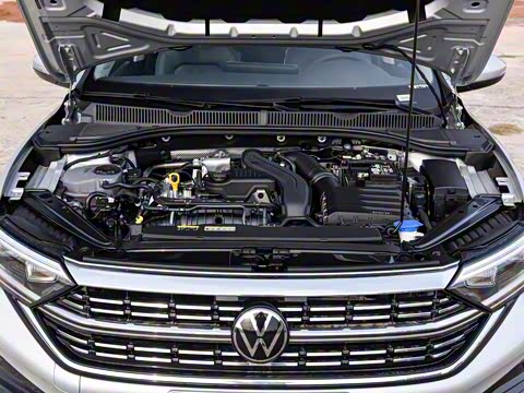 2025�� 300TSI DSG��Խ��