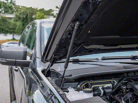 2023�� ɽ�������ֶ��� ����